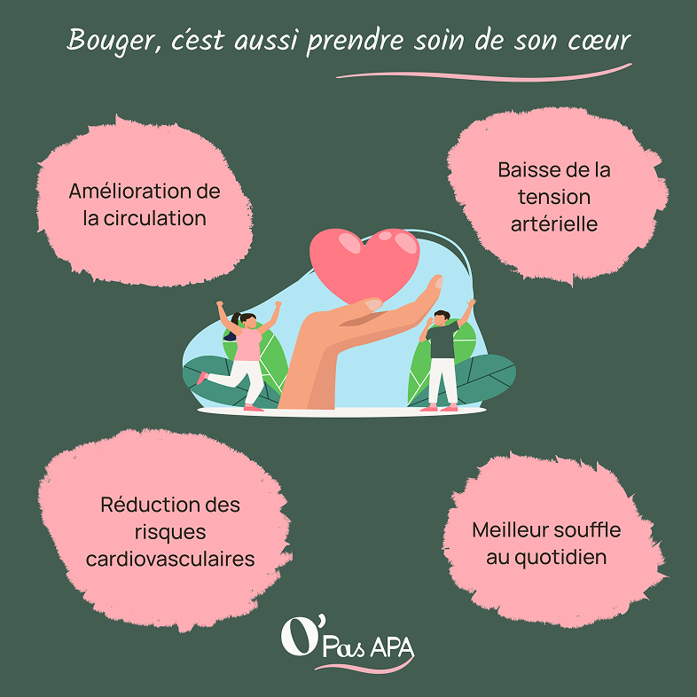 Illustration sur les bienfaits de l’Activité Physique Adaptée pour le cœur : amélioration de la circulation, baisse de la tension, réduction des risques cardiovasculaires et meilleur souffle.